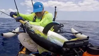 54 pound yellowfin tuna (Shibi)