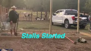 Stalls Started