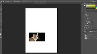 HOW TO DO COLOR CORRECTION IN ADOBE PHOTOSHOP