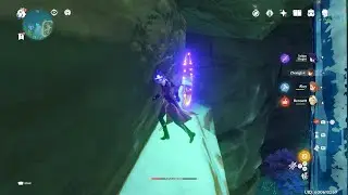 Genshin Impact Invisible Platform