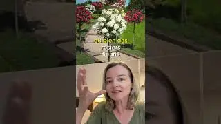 Comment mettre en valeur son entrée avec de la végétation ?