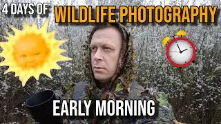 Life of a Wildlife Photographer: Four days of EARLY MORNING Wildlife Photography LUMIX