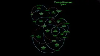 What does it mean? The essence of understanding.
