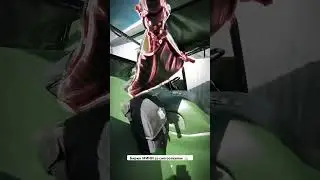 #болотоход