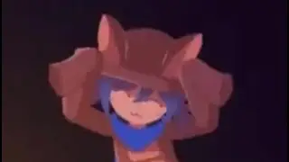 niko chain