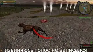 stalcraft артхантерство