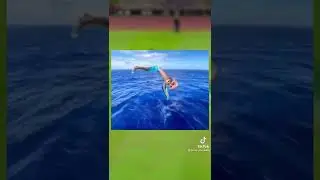 Short story  :  Dolphin  Penaldo  🐬