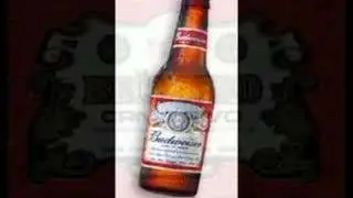 Mnogo Volim Pivo