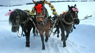 Сретенская ярмарка. Шенкурск. 14.02.2016 г.