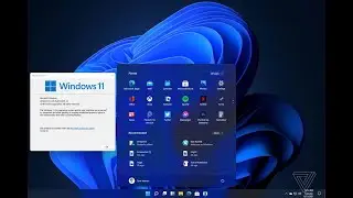 How to Install Docker on Windows 10 / Windows 11 (2022)