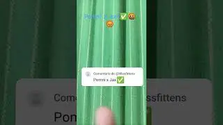 19 de dezembro de 2023