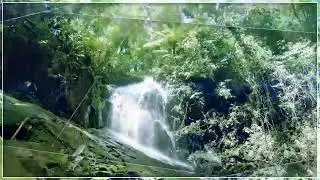 Upbeat Background Music no copyright / Music for Video Editing, Travel Music Download / Guitar bgm