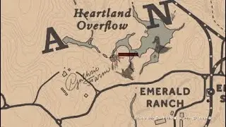 Где и как охотится на Ондатру в RDR2| превосходная шкура Ондатры