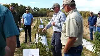 Identifying Herbicide Drift Symptoms on Vegetable Crops