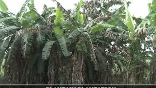 abuad in pix