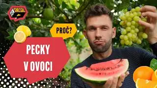 PROČ má někdy ovoce spoustu pecek a jindy skoro žádnou