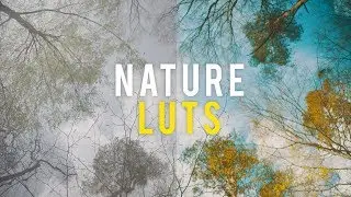 Nature LUT Pack (FREE Download!)