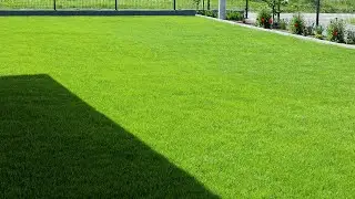 7 Pro Tips for Old and New Lawn Maintenance
