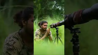 Wildlife photography। Bird photography। Paradise। 