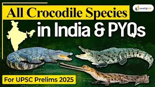 🐊Gharials Vs Crocodile Vs Alligators | Species in News for UPSC Prelims 2025 | LevelUp IAS