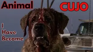 Cujo | Animal I Have Become