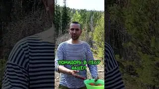 На рыбалку приехал повар. Рыбачить некогда.))  #тайга  #сибирь  #приключения