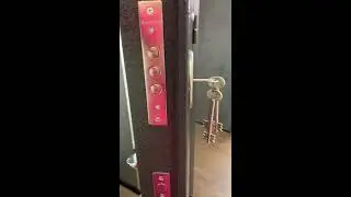 Дверь входная Токио