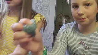 Оцениваем слаймы, исправляем,