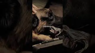 Очень трогательный момент😔💔 Часть 3 