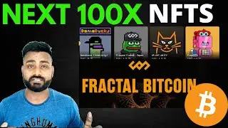 100X NFTS on FRACTAL/ CAT20 WALLET and FB Token Price