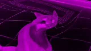 (REUPLOADED) Shortest Video on YouTube Effects (Preview 2MABAL Effects)