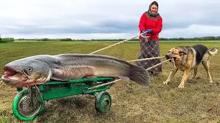 This Giant Catfish Had to Be Rolled on Wheels! Deep-Fried Fish