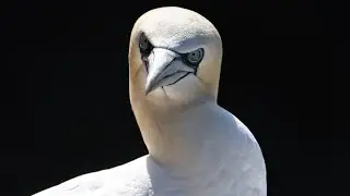 Inverness photography trip May 23