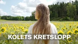 Kolets kretslopp