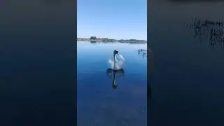 МАТУШКА ЗЕМЛЯ