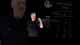 Биохимия: Оперон часть 2) 