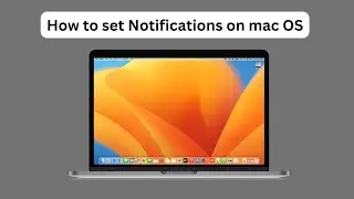 How to use Notification on Mac | How to use Focus on Mac