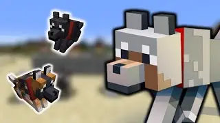 Your Guide to the New Wolves in Minecraft!
