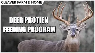 Deer Feeding 101: Develop a Successful Feeding Program on Your Property | Cleaver Farm & Home