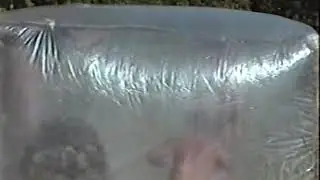 1996 Шуя 07 море3 Нем Кузов