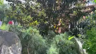 один день из моей жизни|видео без слов|влог💗
