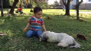 Lucas brincando com cachorro