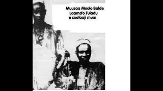 HISTOIRE DU FOULADOU DE ALPHA MOLO À MOUSSA MOLO BALDE