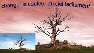 CHANGER LES COULEURS SUR PHOTOSHOP CC 2019