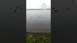 Réserve Naturelle de l'Île de Rhinau