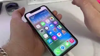 iPhone 11 перезагружается panic full mic2