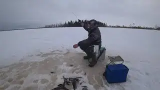 В поисках новых рыбных мест.