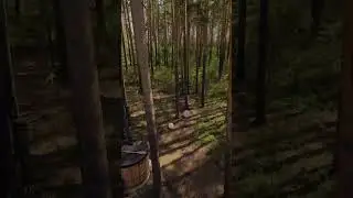 Купель в арендном доме - изюминка проекта! Фурако для единения с природой это лучшее решение!