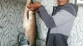 ловля амура fishing pro 08