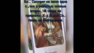 26 февраля 2024 г.
